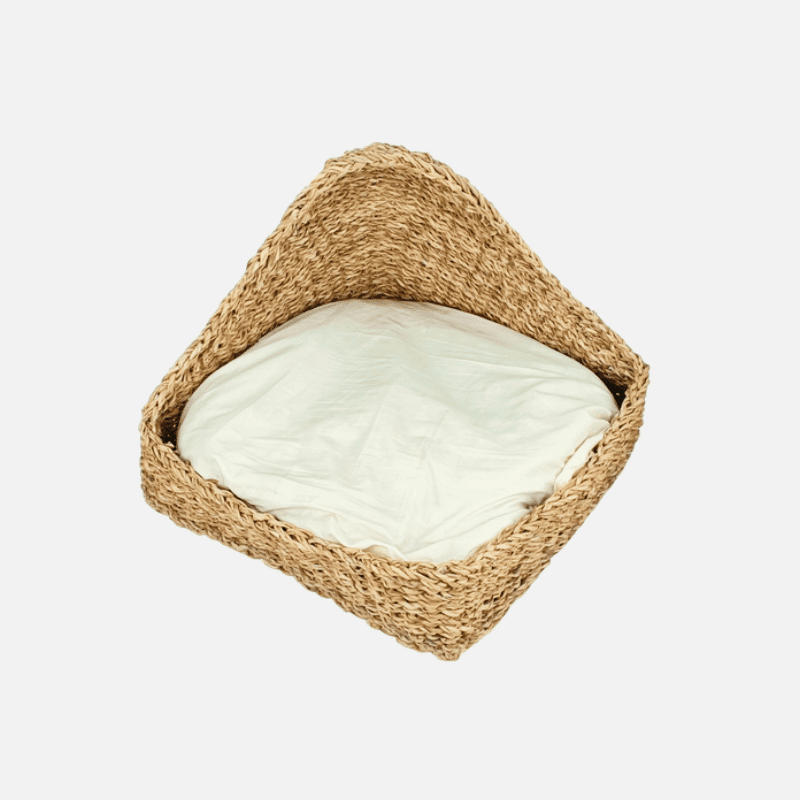 Cat House & Bed