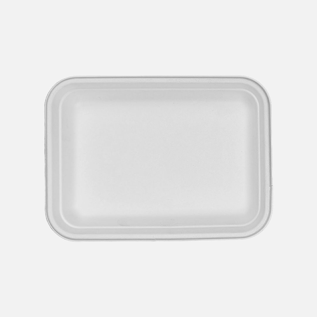 Disposable Dishes